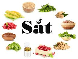 Vì sao bạn cần phải bổ sung sắt?