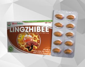 LINGZHIBEE